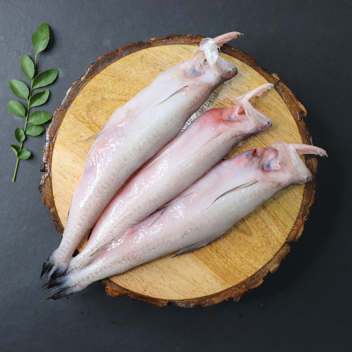 Bombay Duck (Bombil)