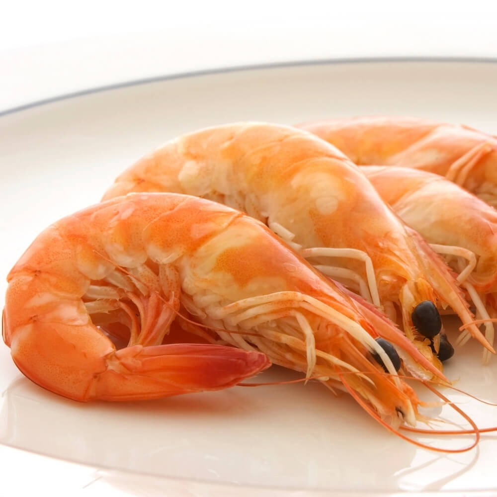 Sea Water Prawns (S/M/B)